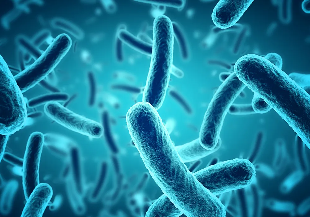 Matos Fogászati Szolgáltatások - Szájhigiénia szájüreg mikrobiológiai tenyésztés